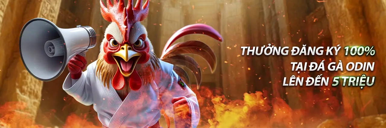 Hình ảnh gà chiến trên sàn đấu, tượng trưng cho đá gà 123go